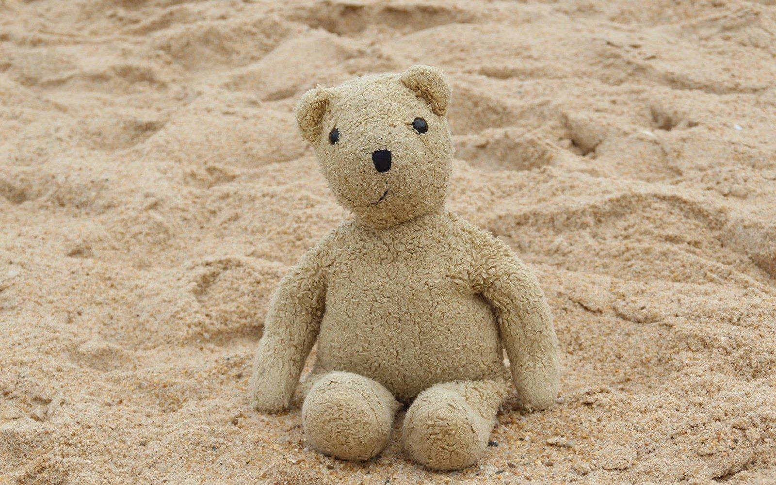 A Steiff teddy bear photographed on plain ground, the Knopf im Ohr brass button in the left ear sharp in focus, the bear's mohair plush visible in detail