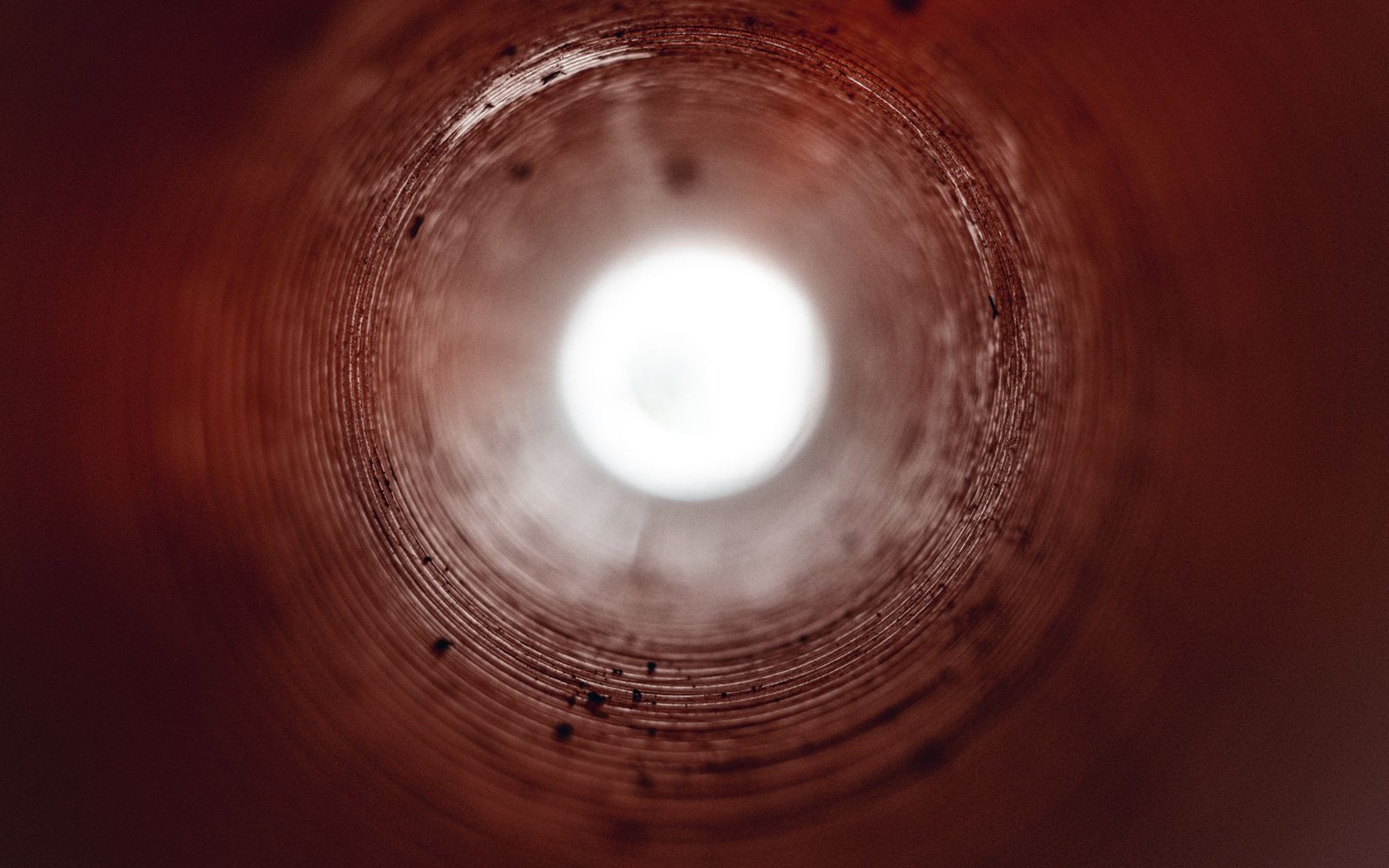Macro photograph of a single red ABS LEGO brick from below, showing the interior tubes and the clutch geometry at close range
